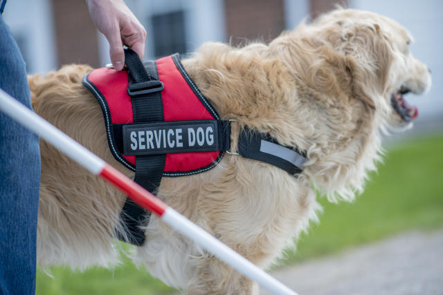 can i claim my emotional support dog on my taxes