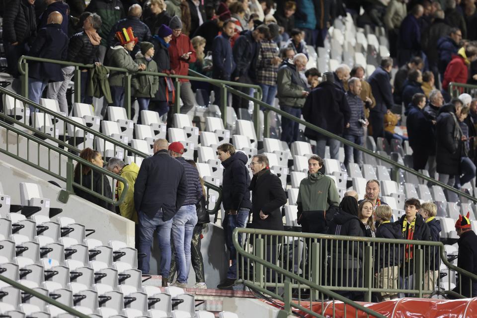 EM-Qualifikation, Gruppenphase, Gruppe F, 8. Spieltag, Belgien - Schweden: Fans verlassen das Stadion (Bild: Bruno Fahy/Belga/dpa)