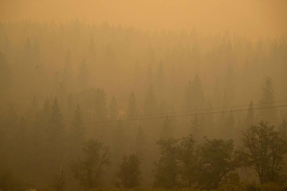 Smoke from the Park Fire fills a valley near Highway 36, northeast of Red Bluff in Tehama County, on Saturday, July 27, 2024.