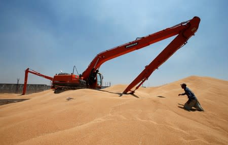 Worker helps an excavator to collect wheat grain at a silo in Mosul