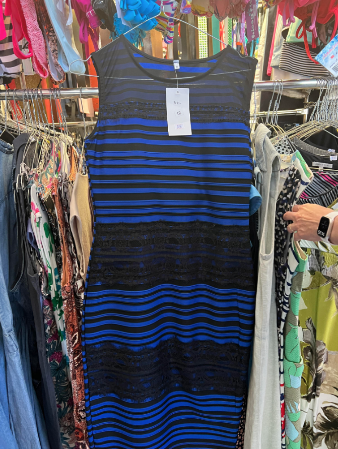 the black and blue dress of the internet