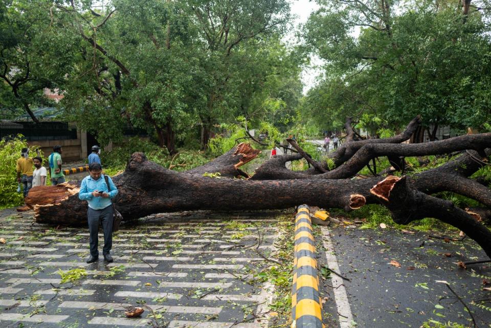 People walk past an uprooted tree on a street after a storm in New Delhi (AFP/Getty)