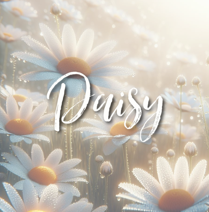 Daisy