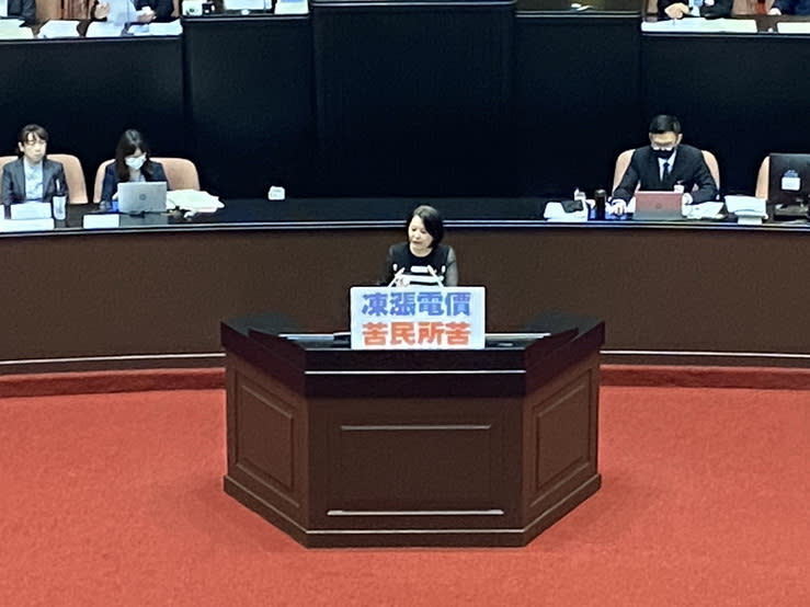 國民黨立院黨團副書記長王鴻薇要民進黨兌現當年指稱找出台灣藏電的承諾。(記者包克明攝)