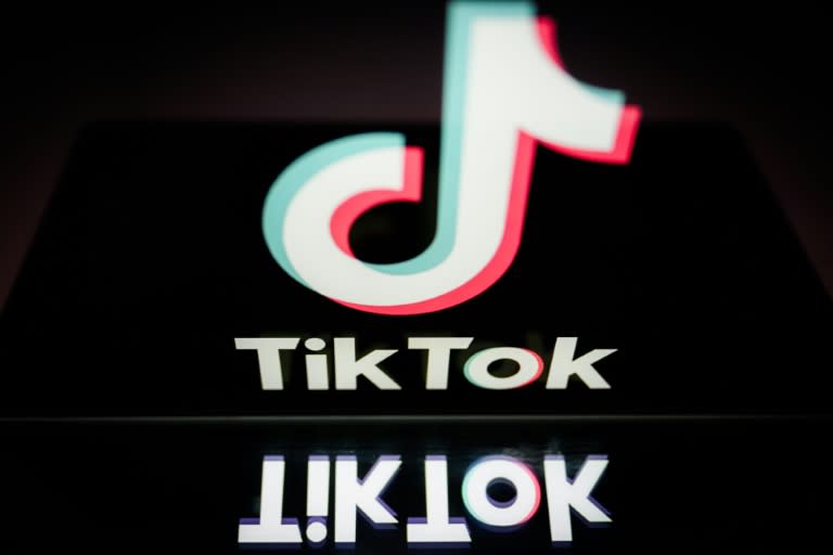 Logo de la plateforma TikTok, el 7 de marzo de 2024 en Nantes, Francia (LOIC VENANCE)