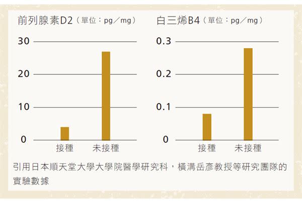 （圖片提供／創意市集）