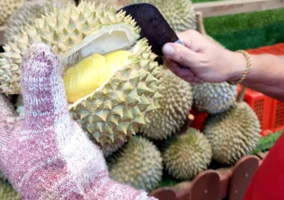 lexus durian buffet - durian cutting