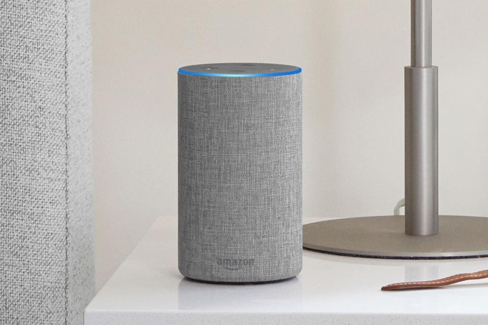 Make sure your Amazon Echo device doesn't give the game away (Amazon)