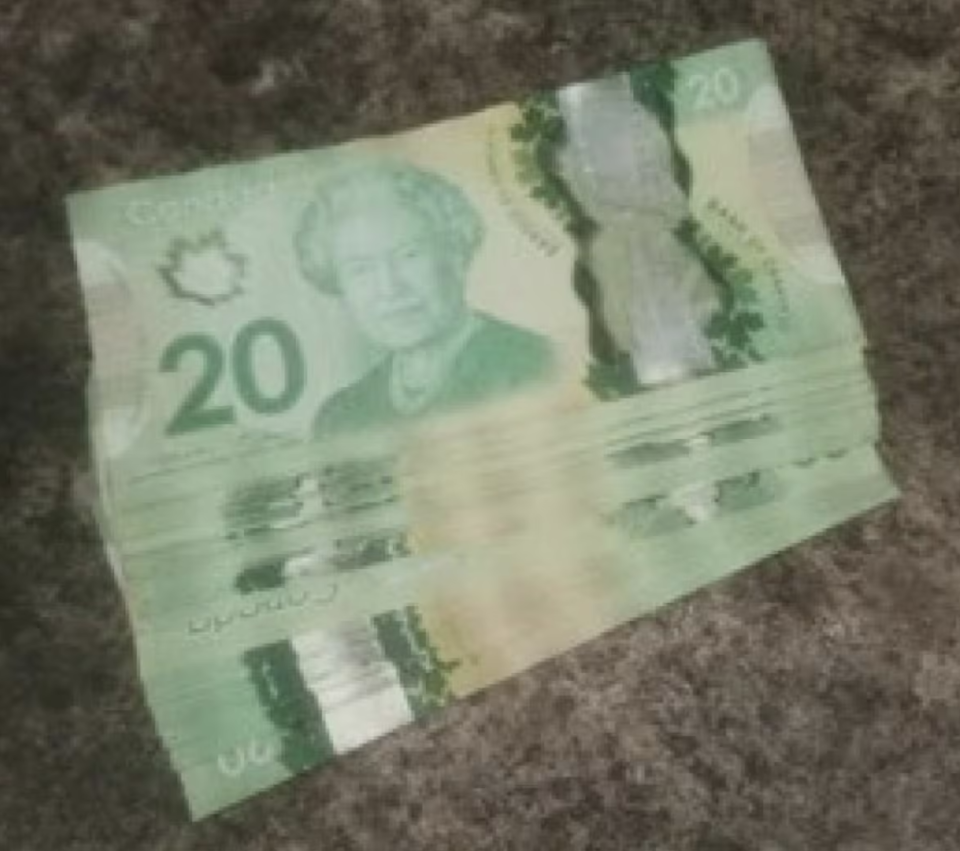 According to a U.S. criminal complaint, Muhammad Shahzeb Khan sent this picture of Canadian $20 bills to undercover officers, telling them the money was for the human smuggler who was set to help Khan cross the U.S. border. (U.S. District Court for the Southern District of New York)