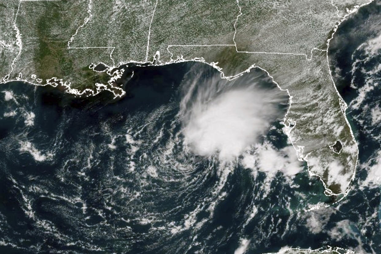 A satellite image shows Tropical Storm Arlene in the Gulf of Mexico west of Florida.