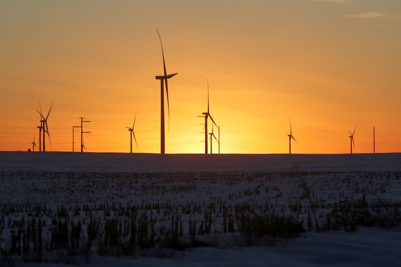 A wind farm shares space with corn fields the day before the Iowa caucuses, where agriculture and clean energy are key issues, in Latimer, Iowa