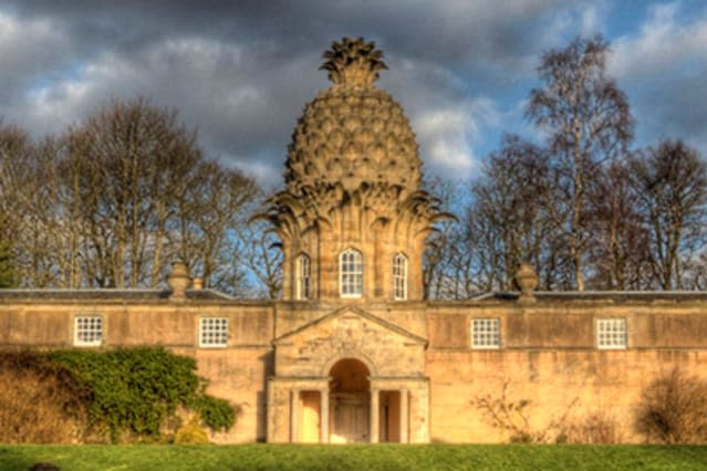 pineapple holiday home