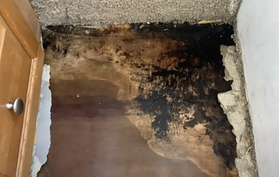 A photo of the mold in Jessica Dobbins’ camper.