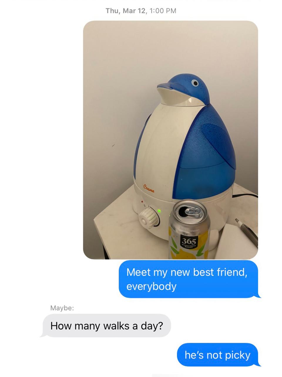 Exposed to COVID-19 at an event and feeling ill, a penguin humidifier is (goofy) solace.