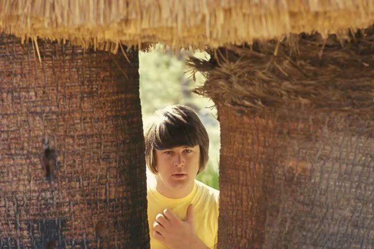 Brian Wilson de The Beach Boys