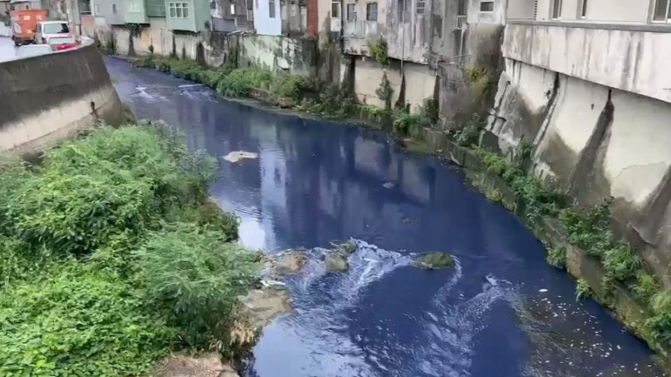 整條溪流被染成異常的深藍色。（圖／吳淑君提供）
