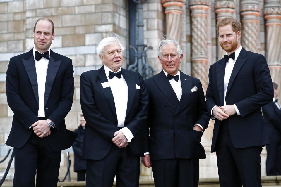 Two generations of royals with Sir David as Prince William, Prince Charles, and Prince Harry attended the "Our Planet" global premiere at the Natural History Museum in 2019. All the men look very dapper for the event. (John Phillips/Getty Images)
