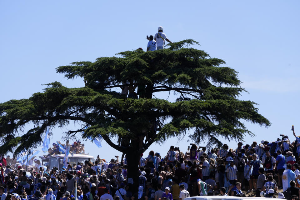 The Argentine soccer team that won the World Cup tournament rides on an open bus in a homecoming parade in Buenos Aires, Argentina, Tuesday, Dec. 20, 2022. (AP Photo/Natacha Pisarenko)