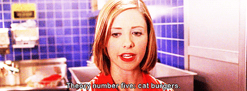 "Theory number five: cat burgers."