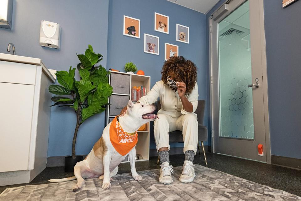 Woman and dog in the newly decorated Real Room in the adoption center