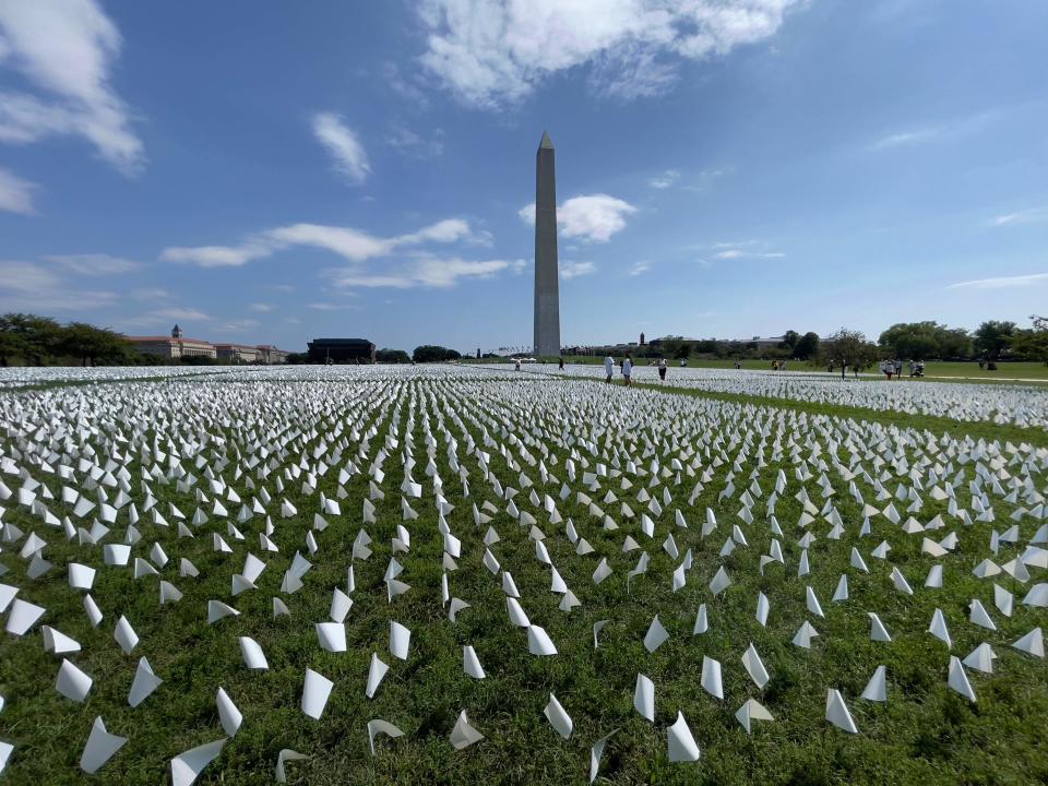 The National Mall in Washington, D.C., in September 2021 featured a project by artist Suzanne Brennan Firstenberg, who uses miniature white flags to symbolize the lives lost to COVID-19 in the United States.