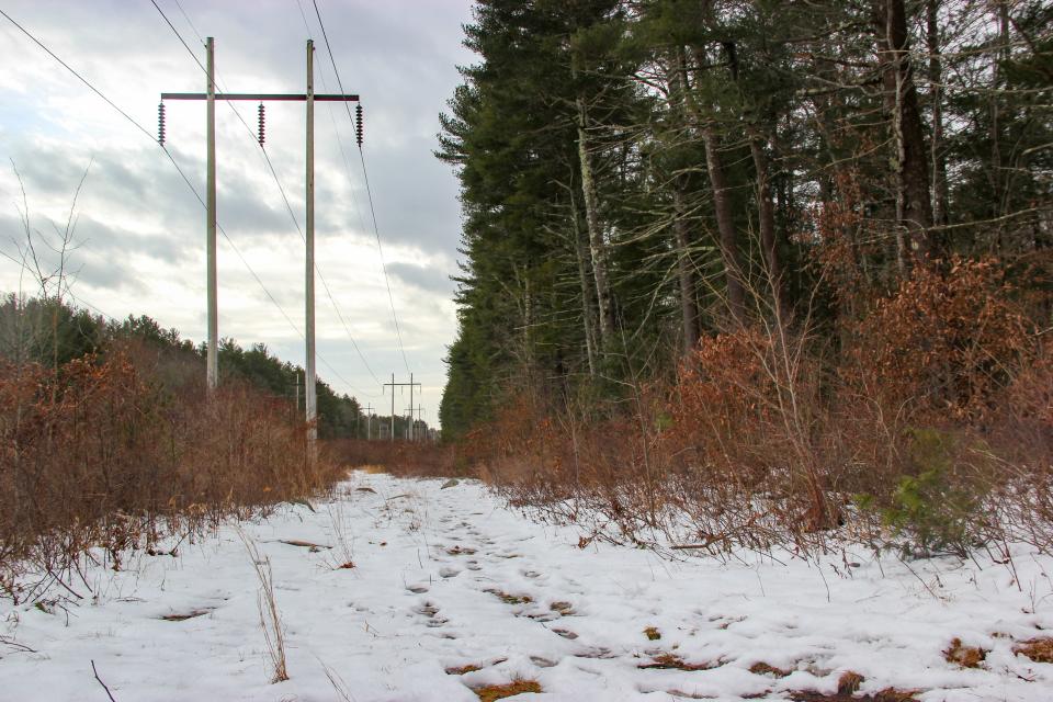 A hiking path in the Southeastern Massachusetts Bioreserve leads past a row of power lines.