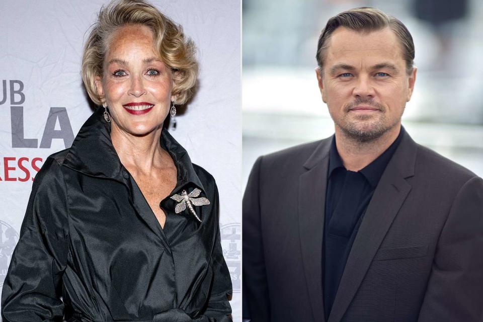 <p>Amanda Edwards/Getty;</p> Sharon Stone; Leonardo DiCaprio