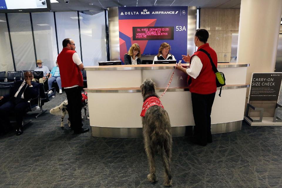 In this photo taken Tuesday, May 21, 2013, Pets Unstressing Passengers (PUPs) volunteers: Marwick Kane and Kai, far left, and Brian Valente, with his dog, Finn, center, walk around the Los Angeles International Airport terminal. The Los Angeles International Airport has 30 therapy dogs and is hoping to expand its program. The dogs are intended to take the stress out of travel: the crowds, long lines and terrorism concerns. (AP Photo/Damian Dovarganes)