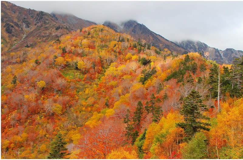 日本立山黑部阿爾卑斯山脈路線