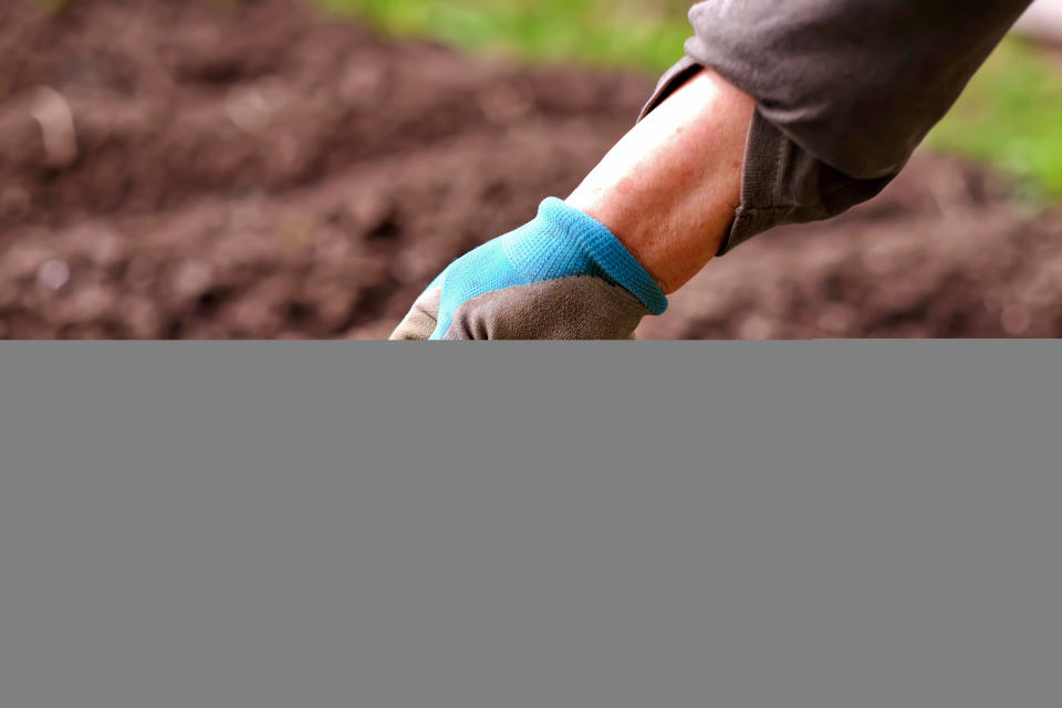 Woman applying fertilizer plant food to soil for vegetable and flower garden