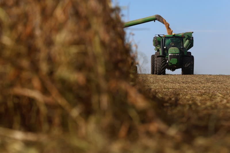 Productores de soja de Argentina esperan por alza de precios para vender cosecha tras fuertes lluvias