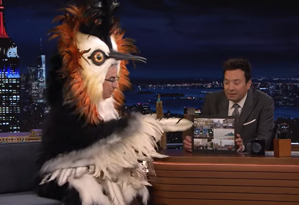A screenshot from the Nov. 8 episode of The Tonight Show Starring Jimmy Fallon shows John Oliver dressed in a pūteketeke costume talking with Fallon about the advertisements Oliver created in cities around the globe, including Manitowoc.