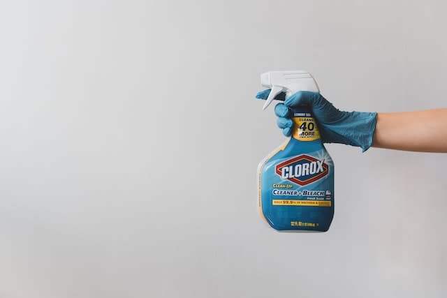 Clorox, Products, Hygiene