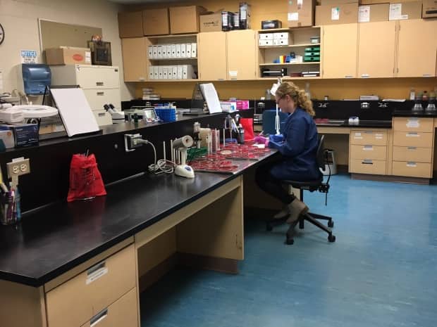 Brielle Doyle, a medical laboratory technician in the AVC Diagnostic Services's bacteriology lab, examines bacterial growth on culture plates. 