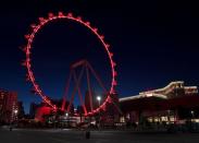 <p>For parents with kids that are thrill-seekers, we've got the perfect activity for you in Nevada. The 550-foot-tall High Roller ferris wheel is located outside the famous LINQ Hotel. The full ride takes about 30 minutes, and provides you with stunning views from all angles. </p>