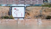 <p>Mano Aliczki was on holiday in Sardinia, Italy, known for its greater flamingo colonies, and spotted this lone pink bird feeding from an artificial salt pan. The resulting flamingo photo, titled "<a href="https://www.picfair.com/pics/016013729-window-to-the-salt-pan" rel="nofollow noopener" target="_blank" data-ylk="slk:Window to the salt pan;elm:context_link;itc:0;sec:content-canvas" class="link ">Window to the salt pan</a>" won the awards' Daylight category. </p>