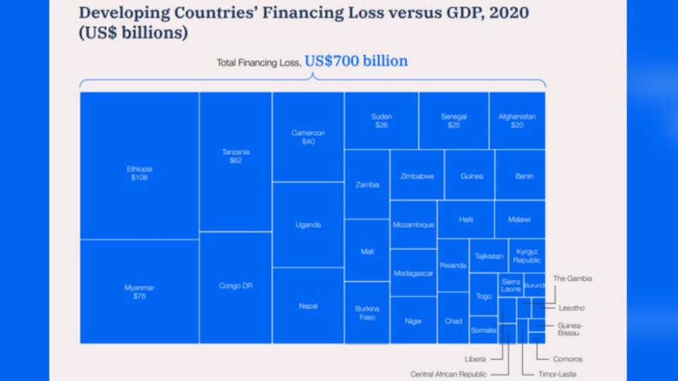 2020年發展中國家的貸款損失與GDP對比（圖／翻攝《2022年全球風險報告》）