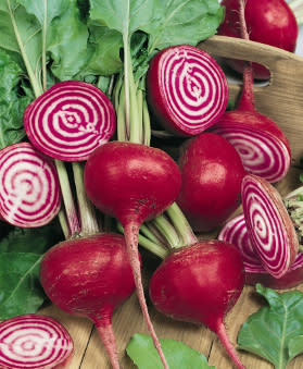 Chioggia Guardsmark Organic Beet Seeds. Image via OSC Seeds.