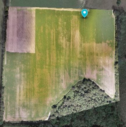 This camera drone image from late last summer shows damage to a soybean field in the Baker area. Much of the field closest to the forest reveals heavy eating from deer while the yellowish areas show damage from worms called nematodes. The Okaloosa County Extension Service will offer a training session July 13 that can help people obtain a commercial drone pilot certificate.