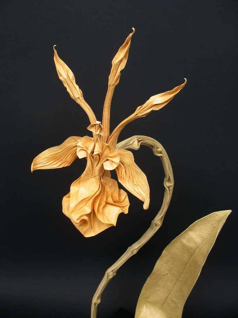 Origami art - Psychopsis krameriana. My enrty for The Oncidiums' Jousting.