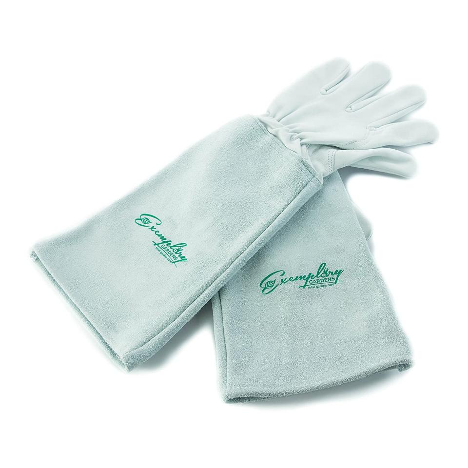 Rose Pruning Gloves