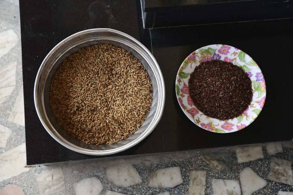 Pokkali rice, right, and Pokkali paddy, from previous harvest, sit at the house of Joseph in Chathamma, Kochi, Kerala state, India, April 22, 2023. Compared to white rice, pokkali, rich in antioxidants, requires a longer time to cook. It has a more pronounced flavor and texture, making it an acquired taste for many. (AP Photo/R S Iyer)