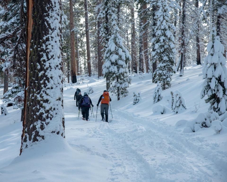 Snowshoers travel to Jefferson View Shelter.