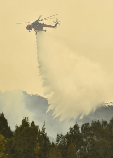 Firefighters have been tackling the blazes from the ground and from the air