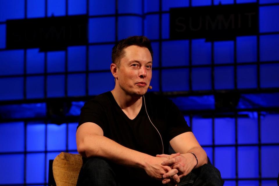 Not everyone is convinced that Elon Musk has people’s best interests at heart (Brian Lawless / PA)