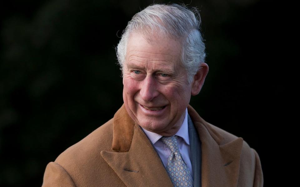 Her views appear at odds with Prince Charles' concerns over GM