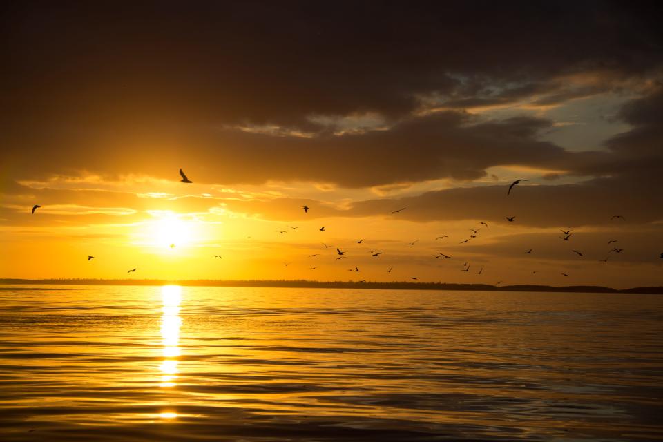 The country’s largest marine national park, Biscayne features pristine waters and necklace of tiny emerald islands.