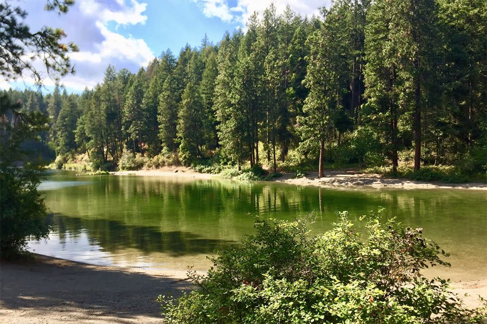 Farragut State Park, Idaho