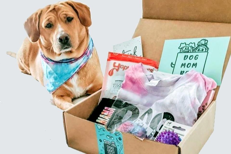 pet subscription boxes