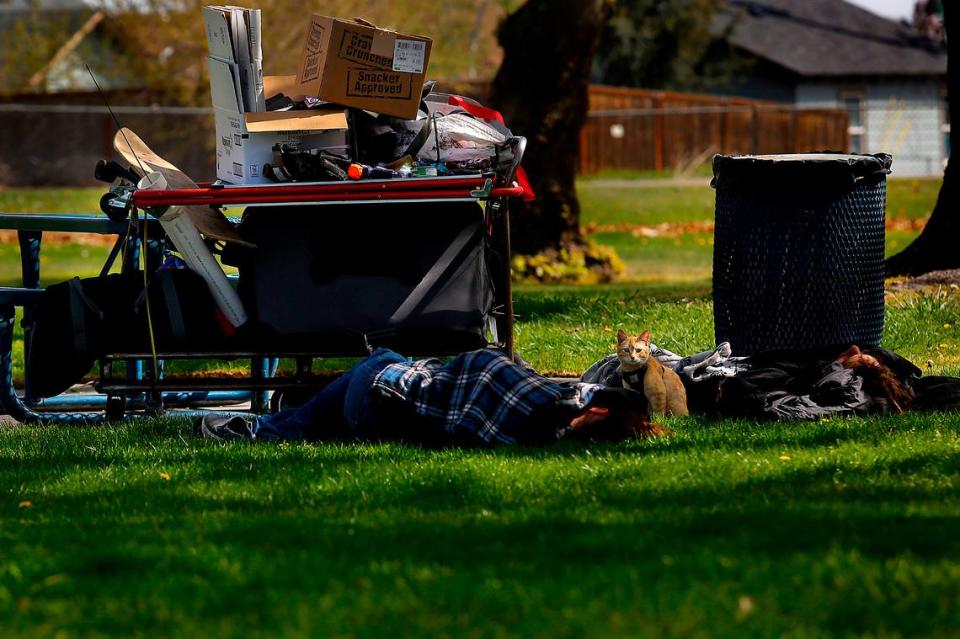 A pair of sleep on the ground near their belongings and pet cat in April 2023 in downtown Kennewick’s Keewaydin Park. The park is not included in a proposed area restricting people from sitting or lying on a sidewalk or bench.